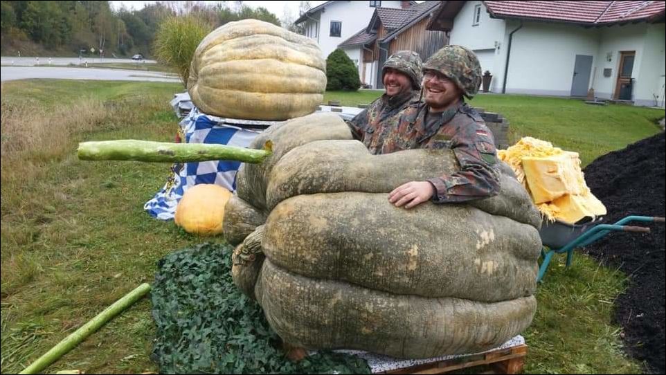 фото приколы