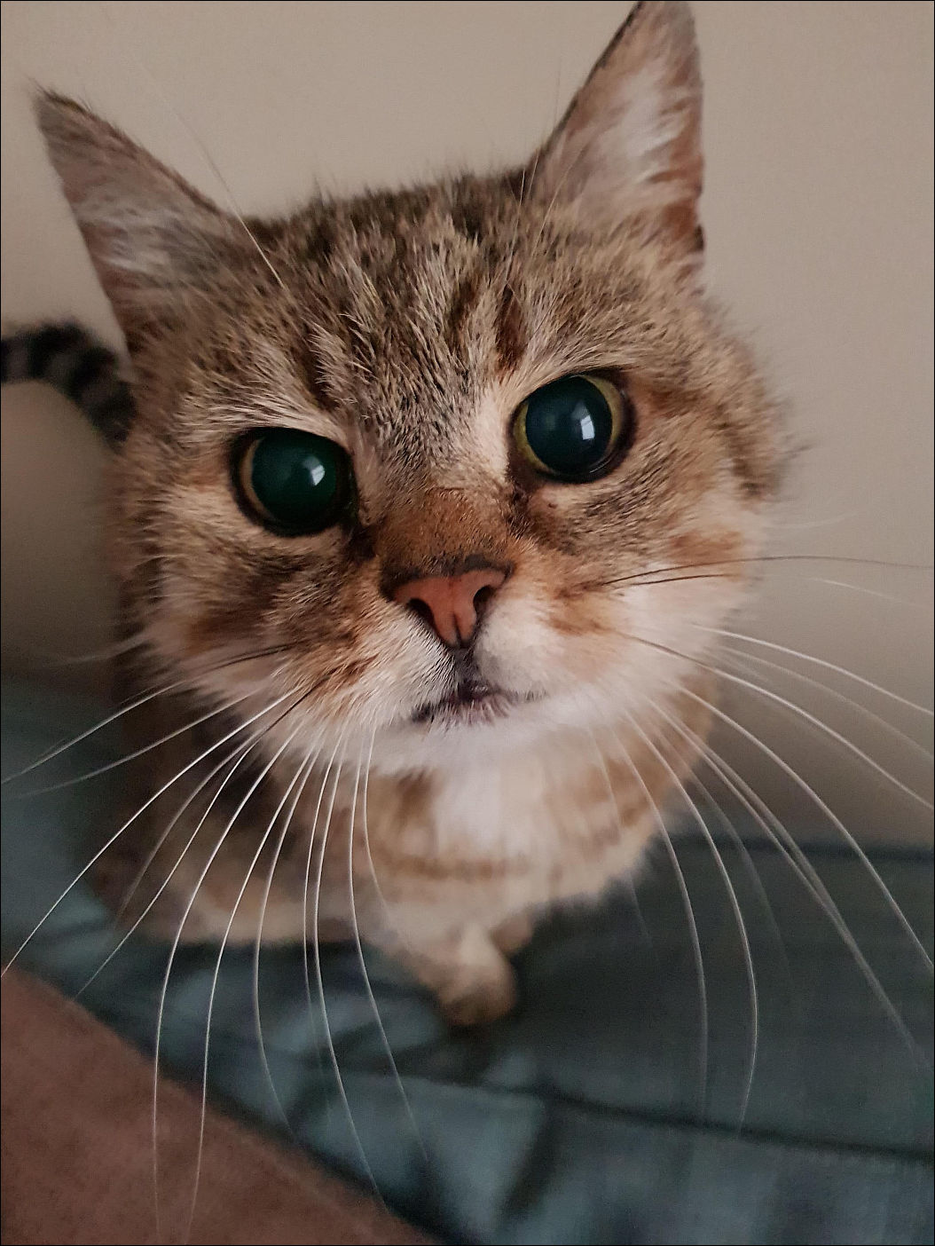 фото приколы