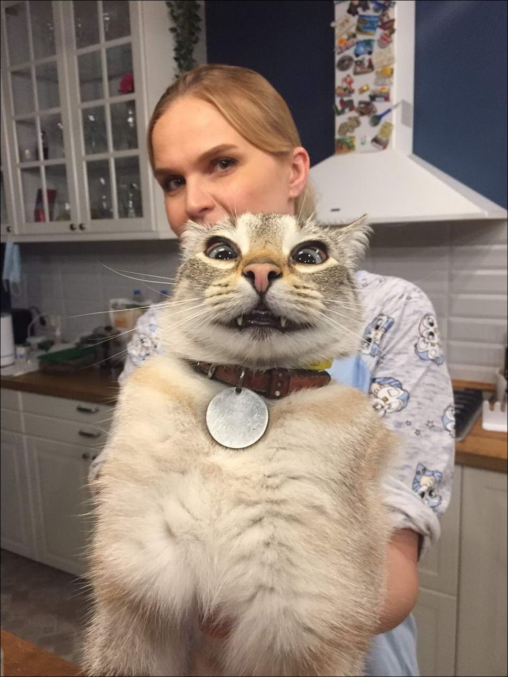 фото приколы