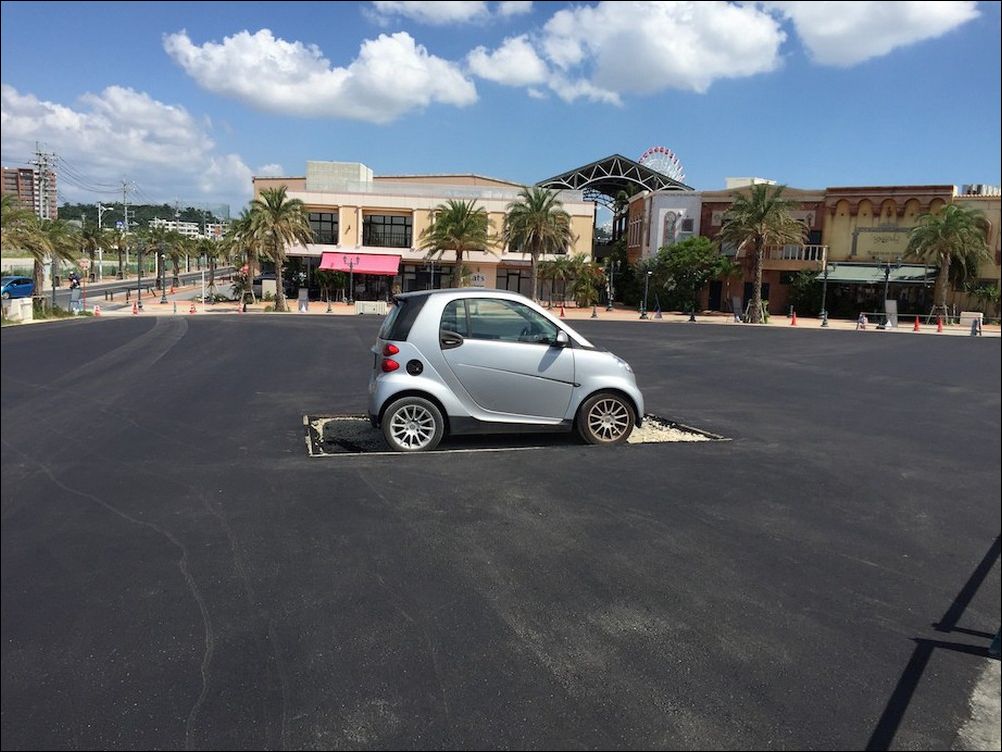 фото приколы