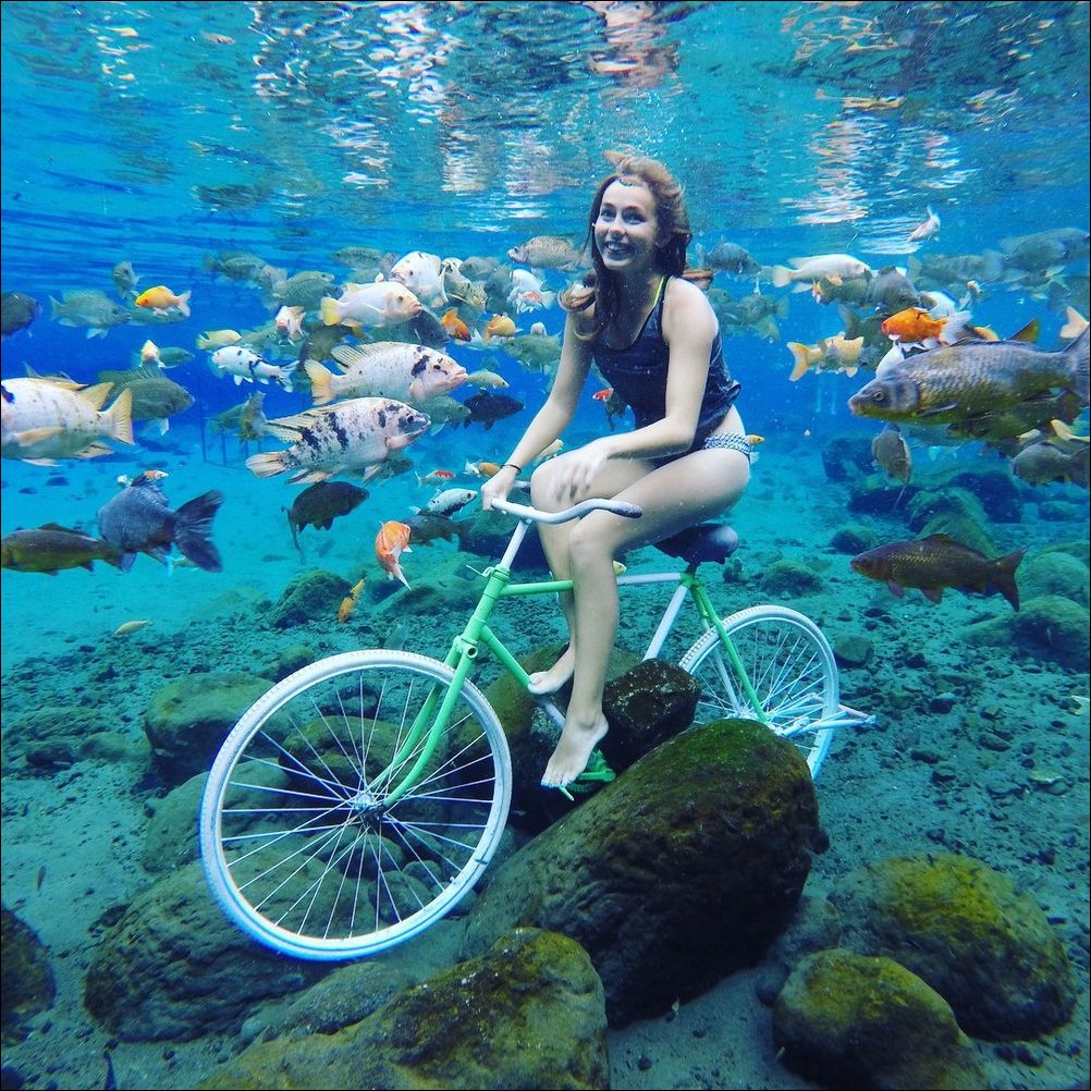 фото приколы