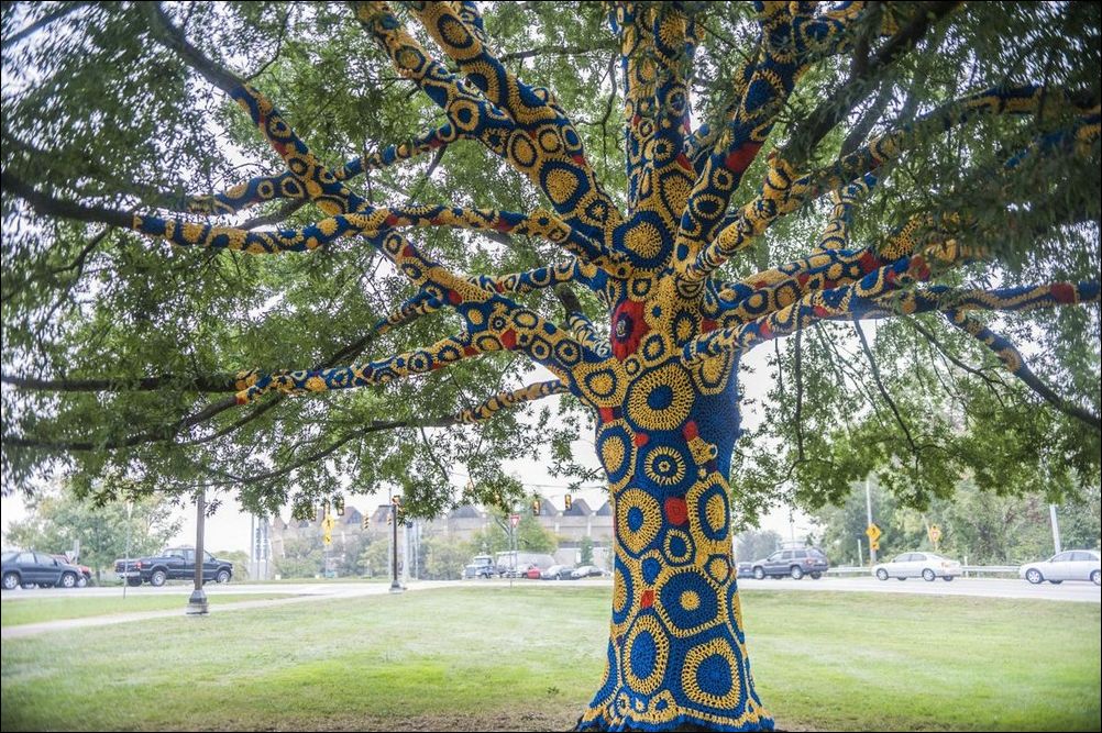 фото приколы