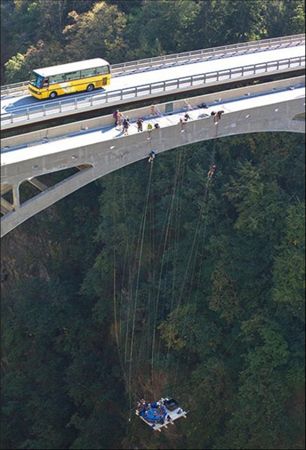 фото приколы