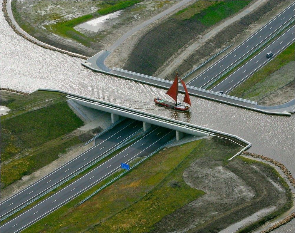 фото приколы