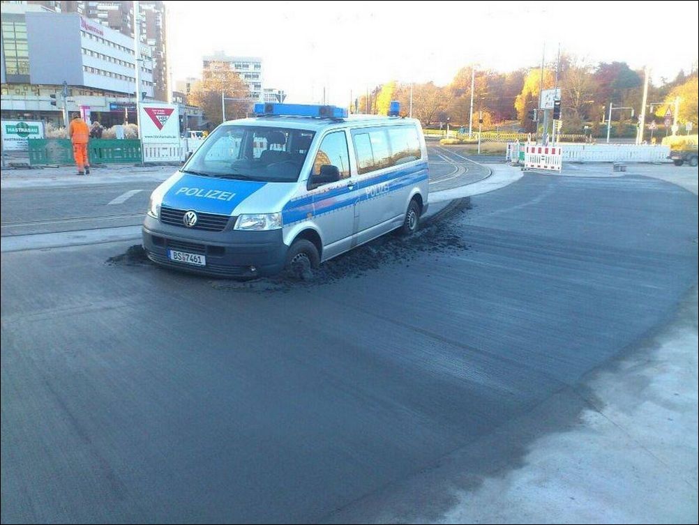 фото приколы