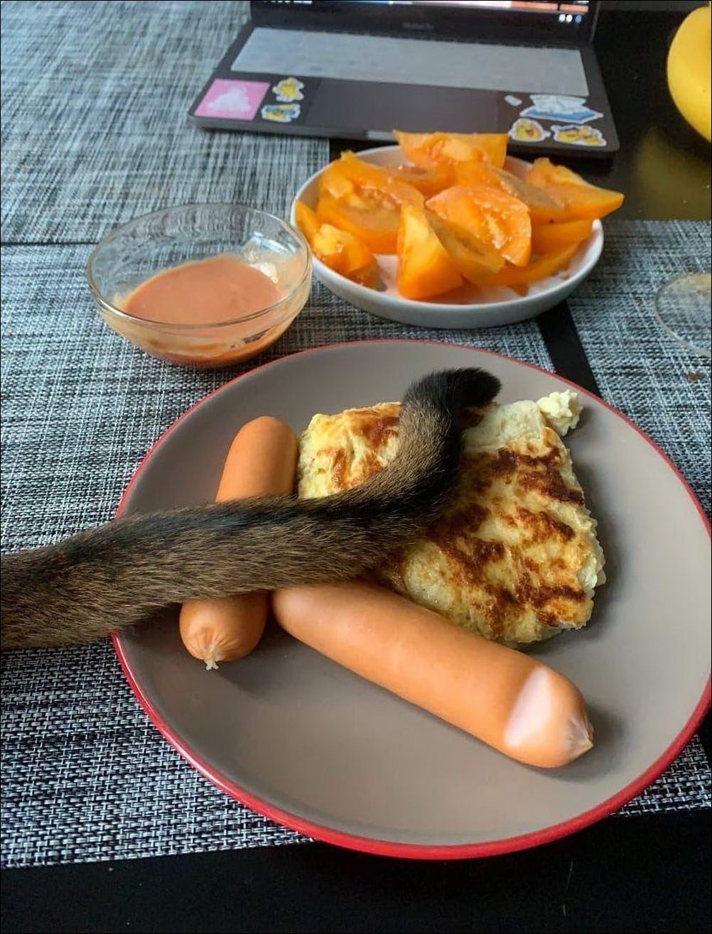 фото приколы