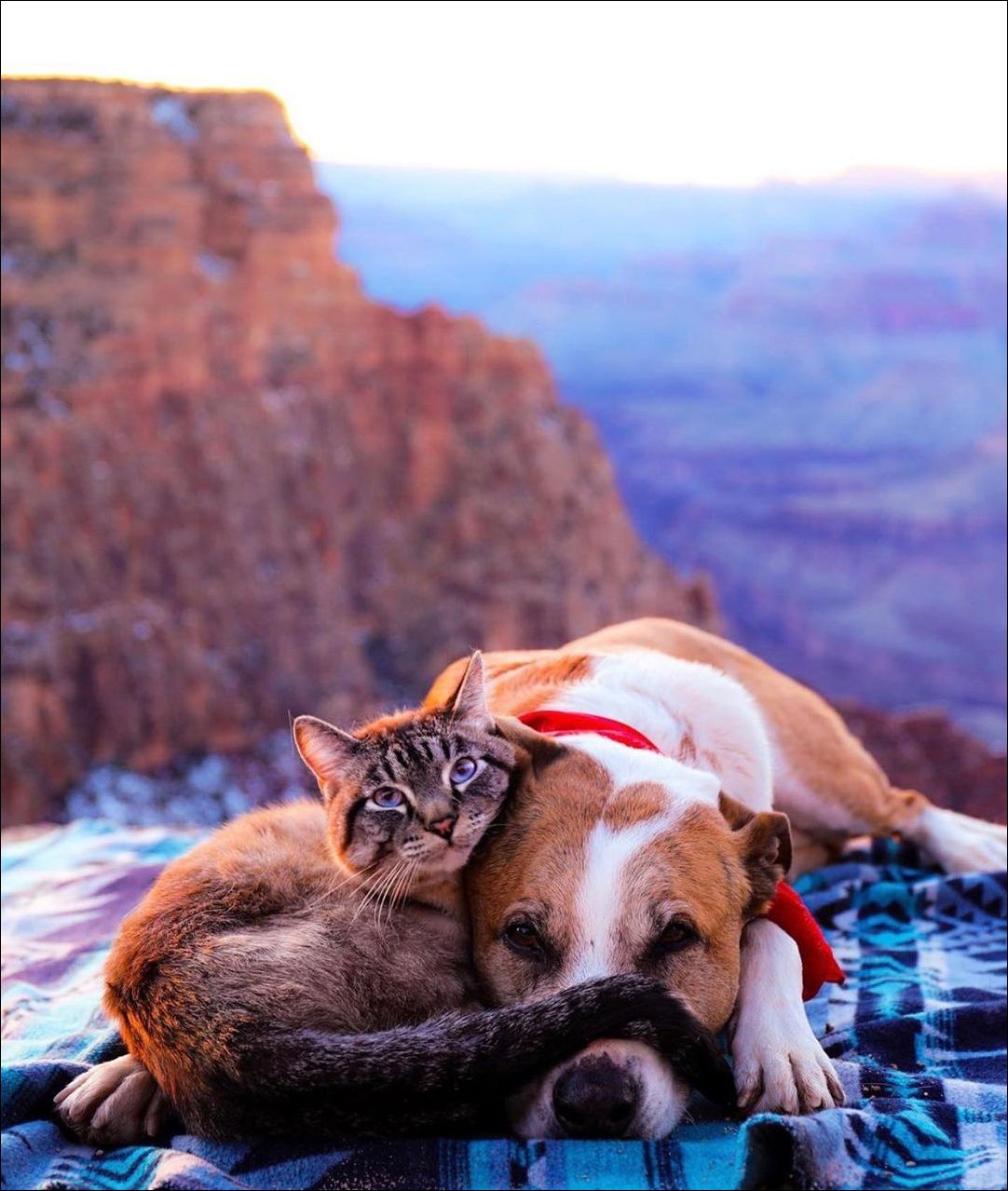 фото приколы