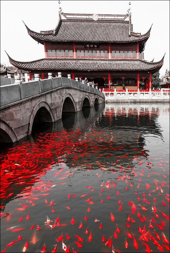 фото приколы