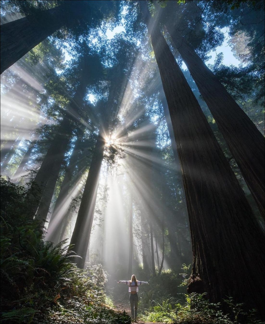 фото приколы