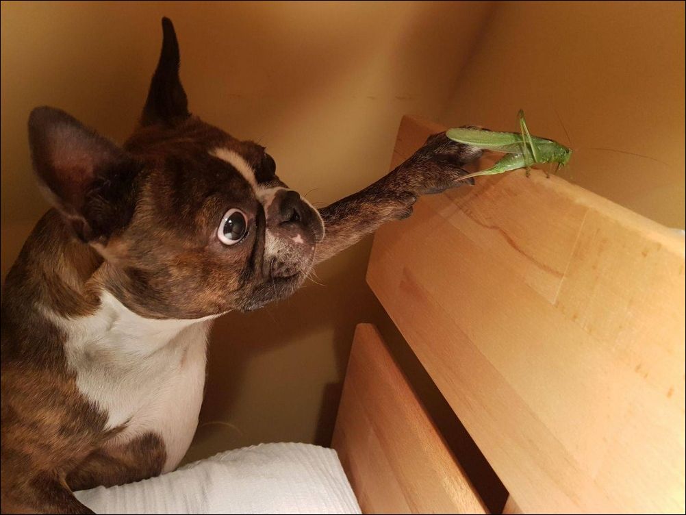 фото приколы