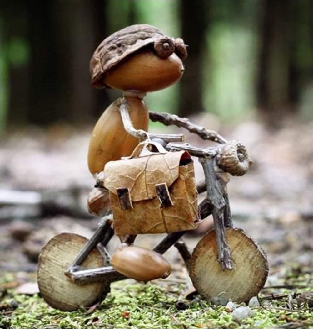 фото приколы