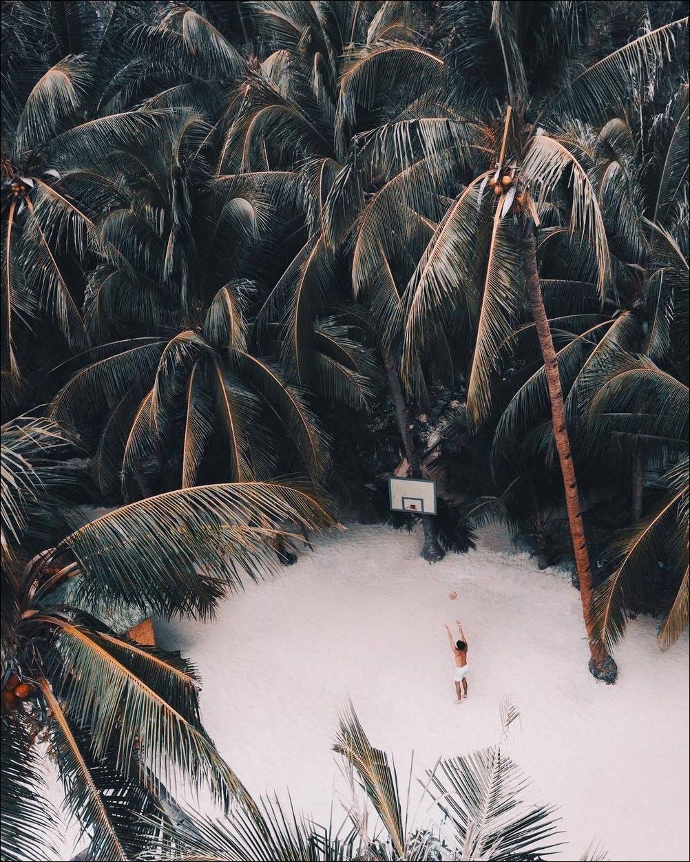 фото приколы