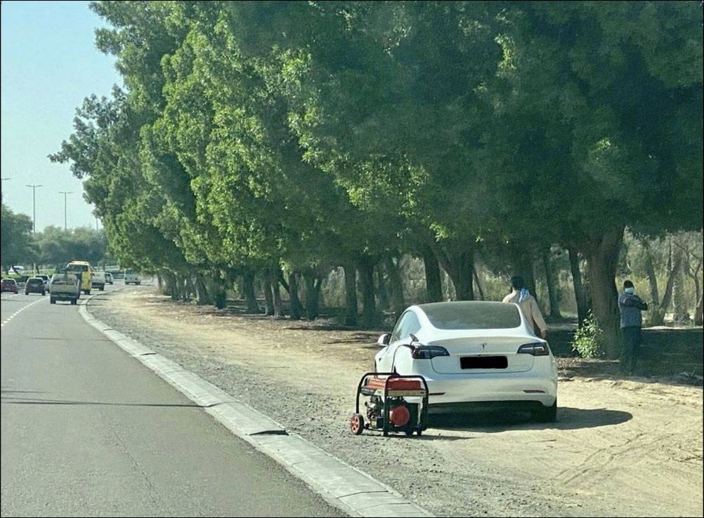 фото приколы