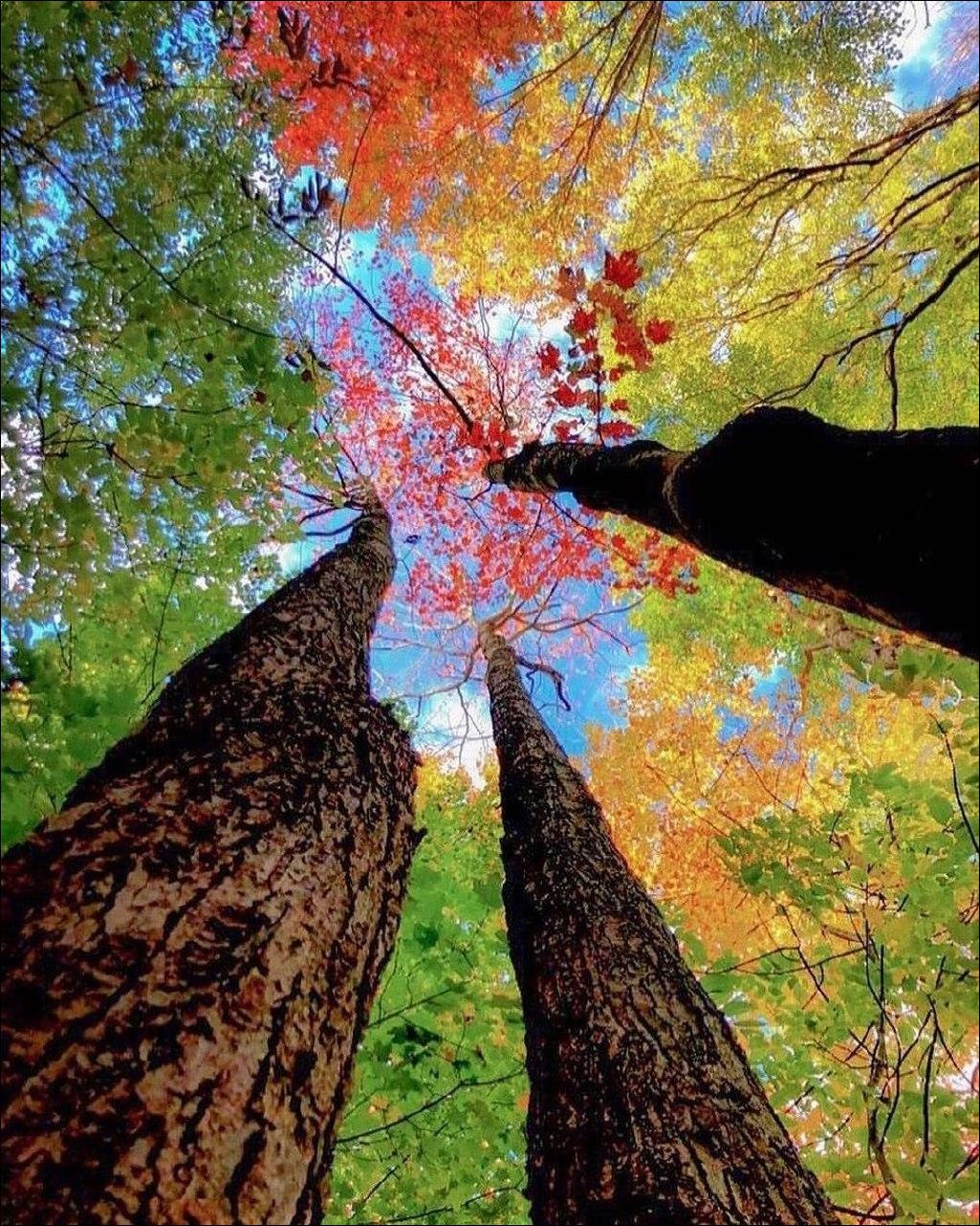 фото приколы