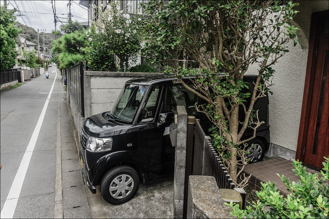 фото приколы