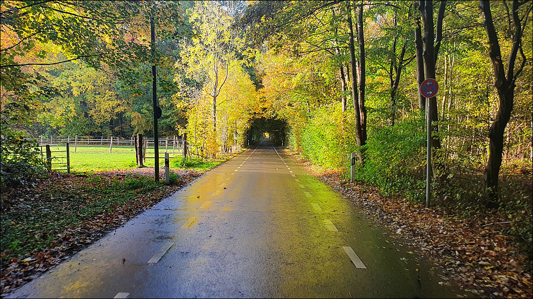 фото приколы