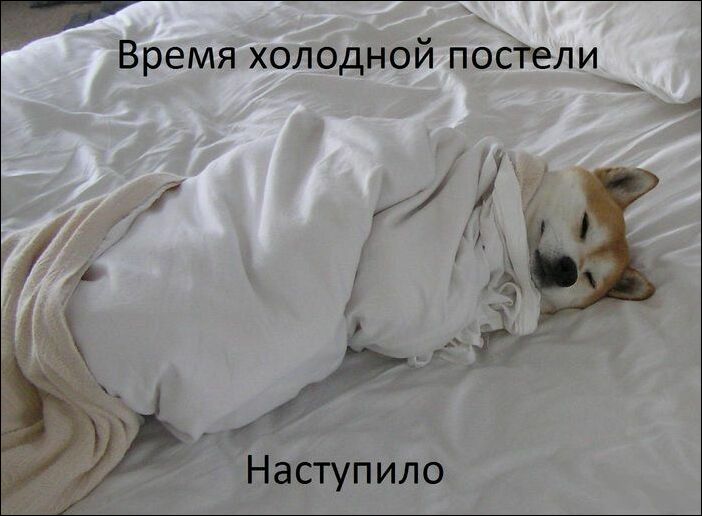 комиксы и карикатуры