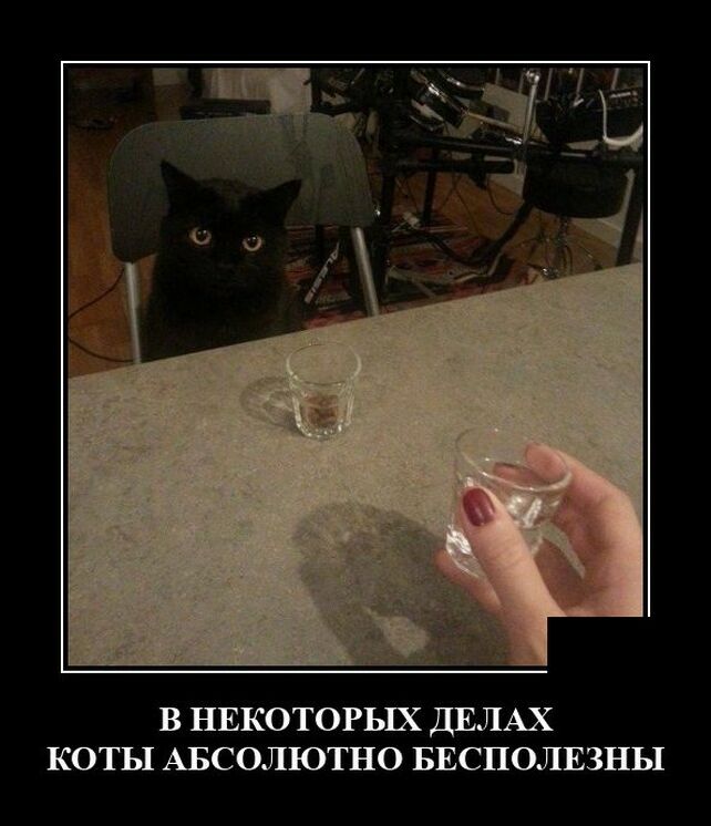 демотиватор