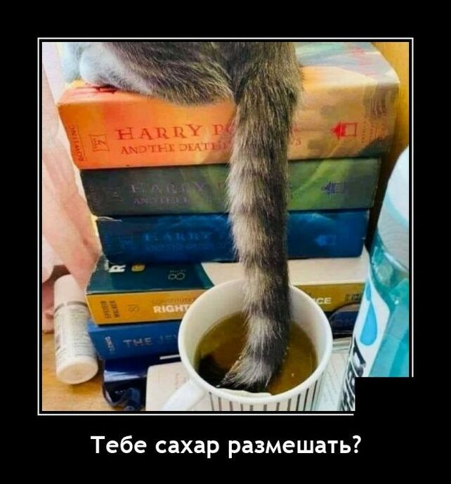 демотиватор