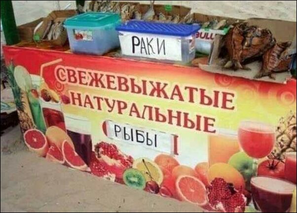 смешные надписи