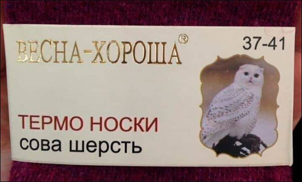 смешные надписи и объявления