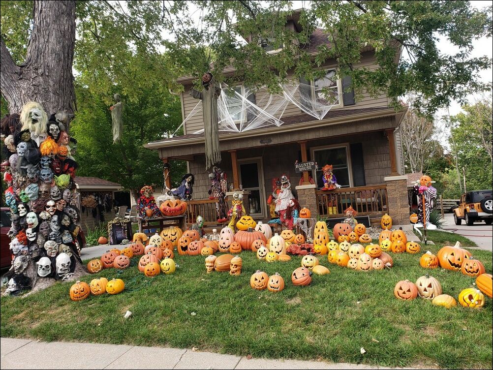 фото приколы