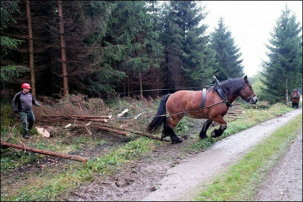 фото приколы