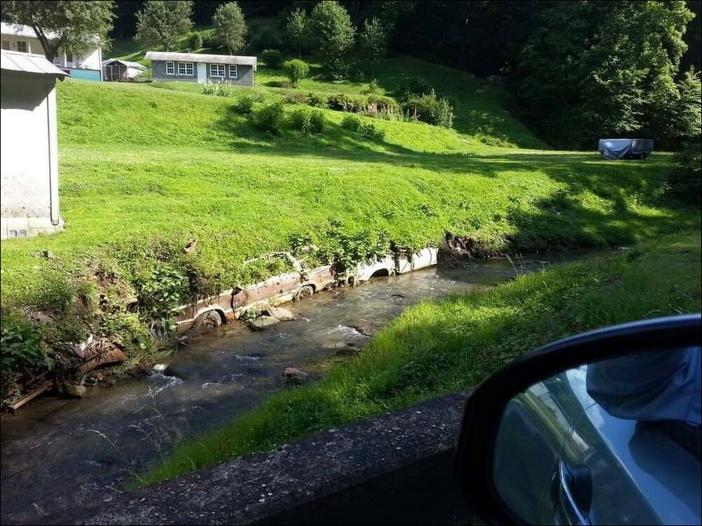 фото приколы