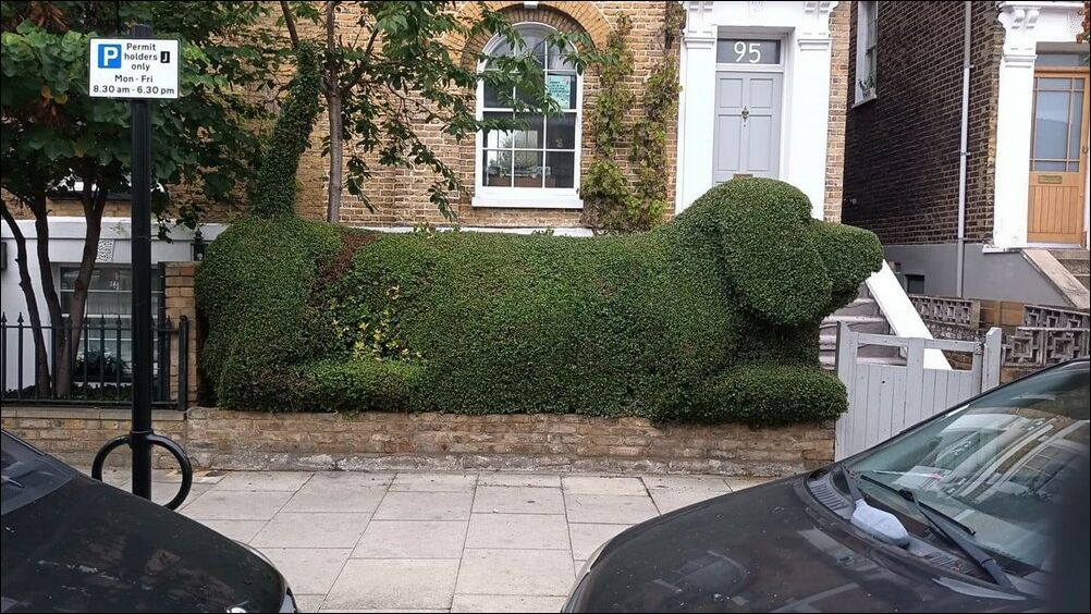 фото приколы