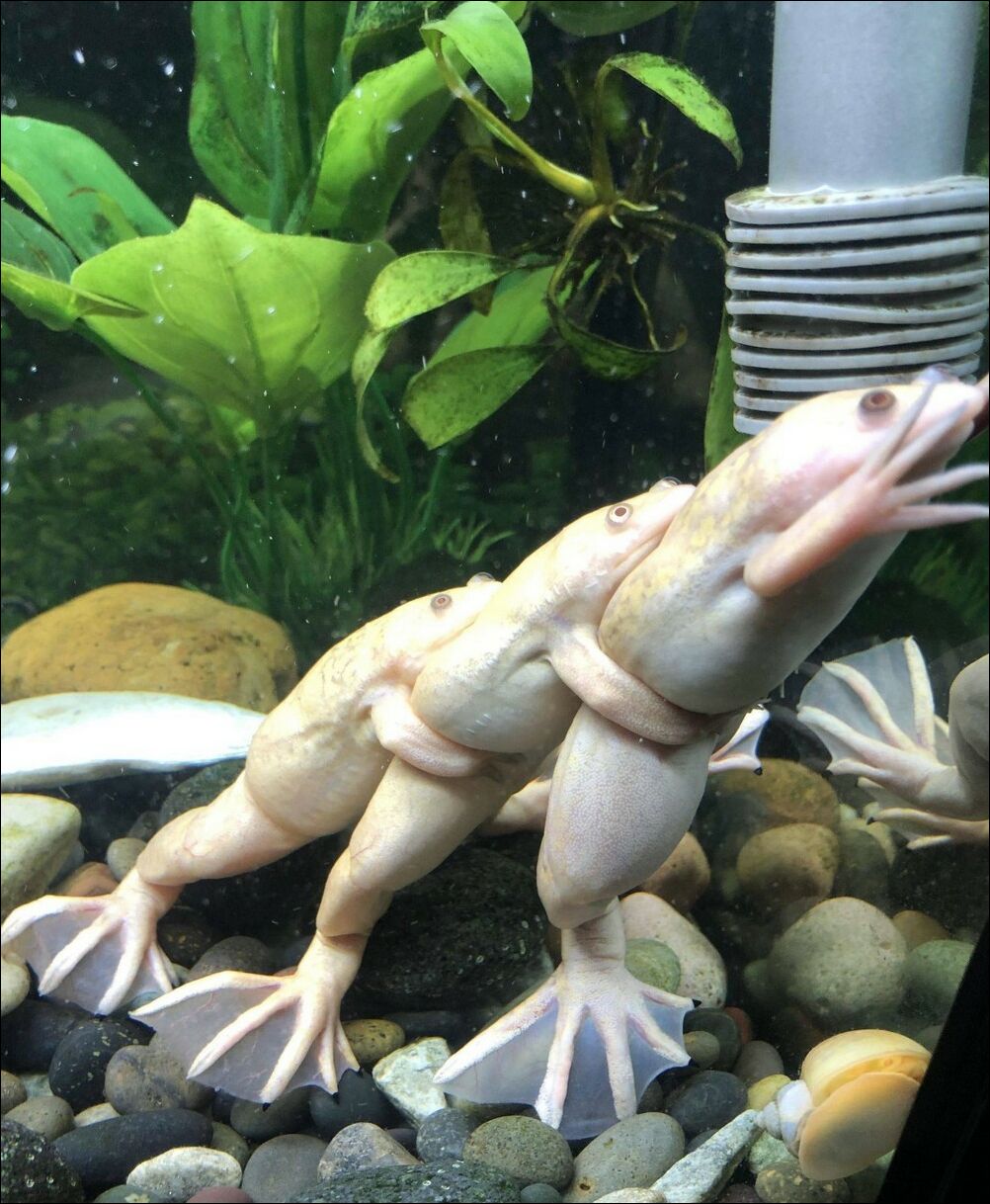 фото приколы