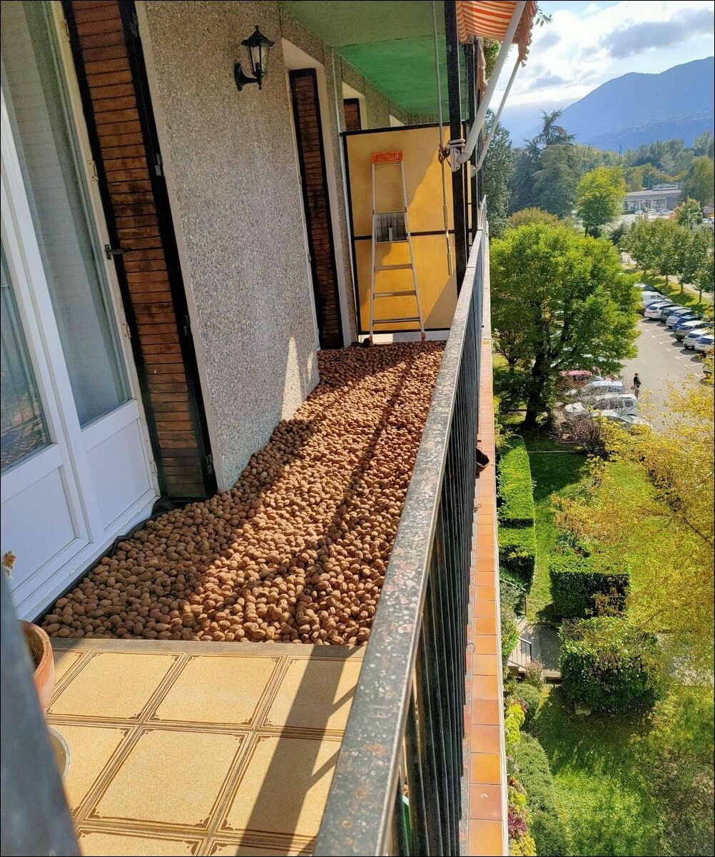 фото приколы