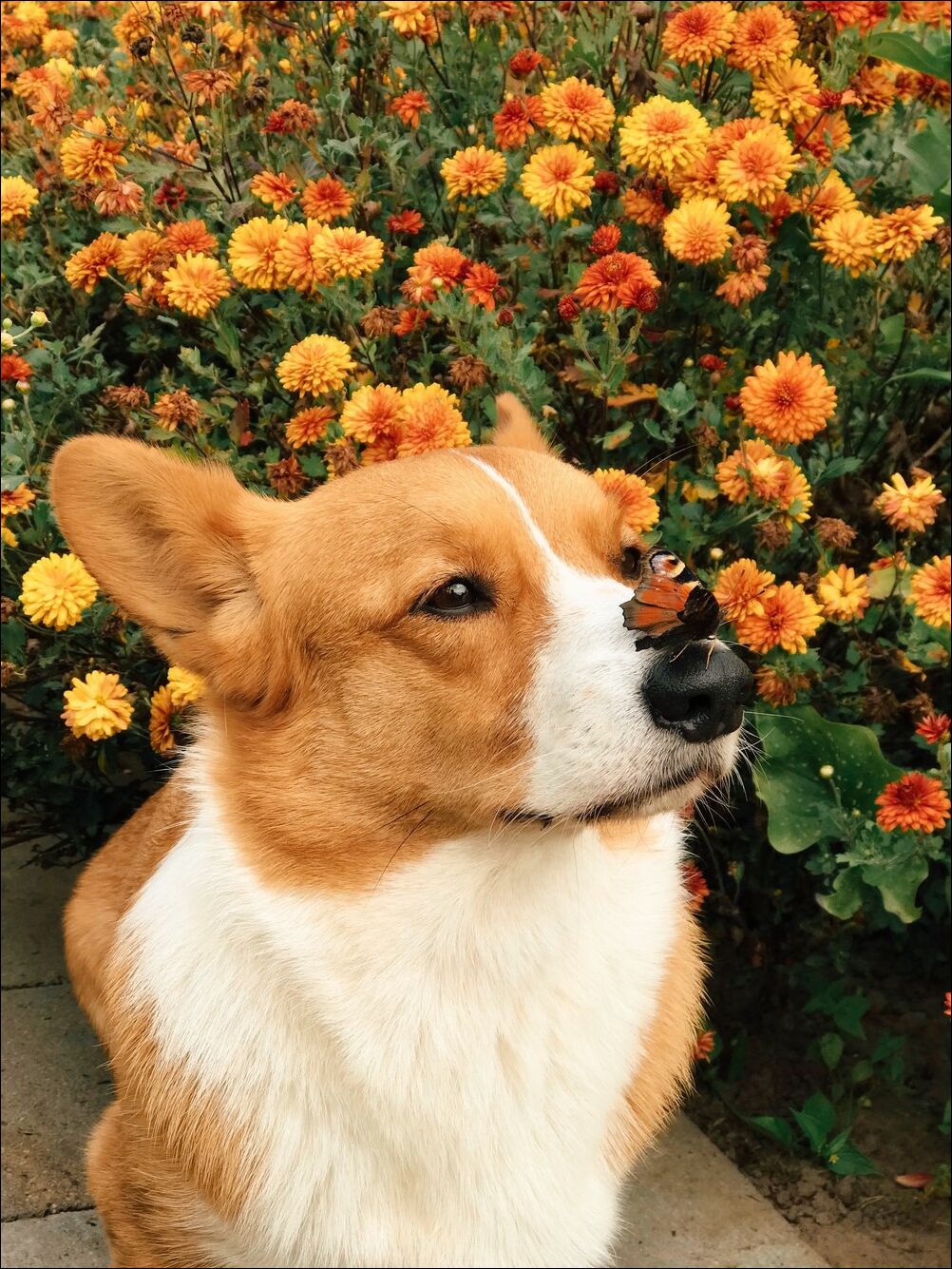 фото приколы