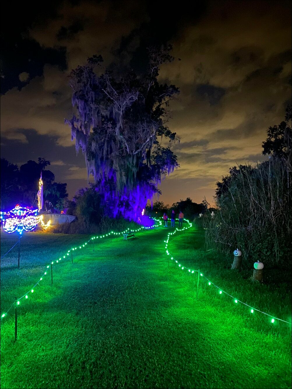 фото приколы