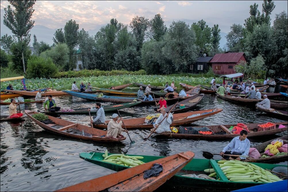 фото приколы