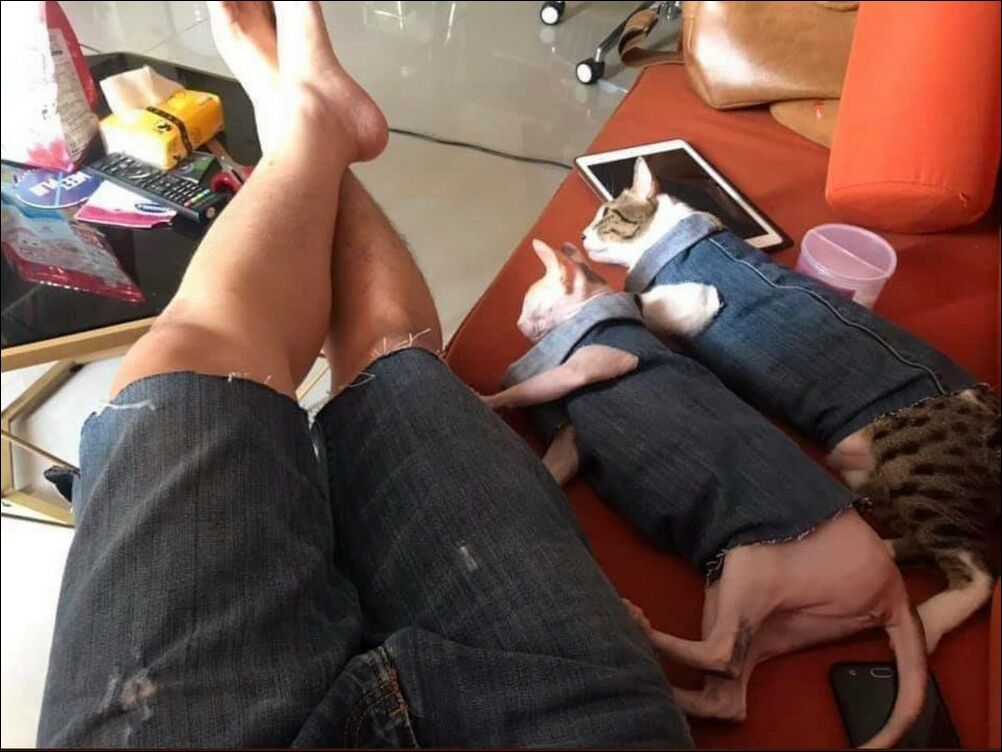 фото приколы