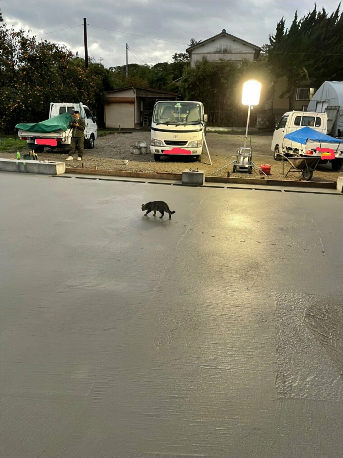 фото приколы