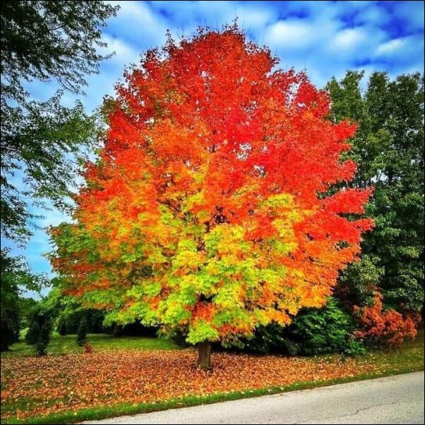 фото приколы