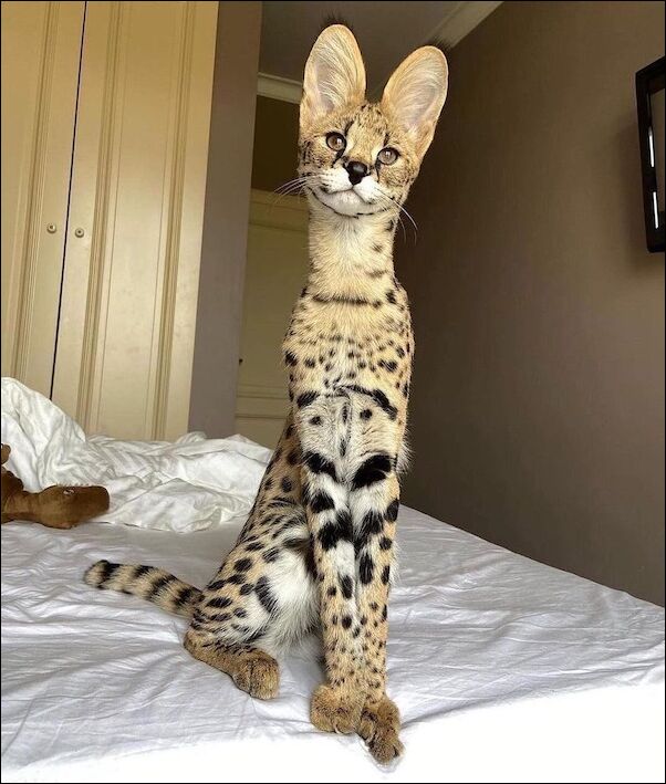 фото приколы