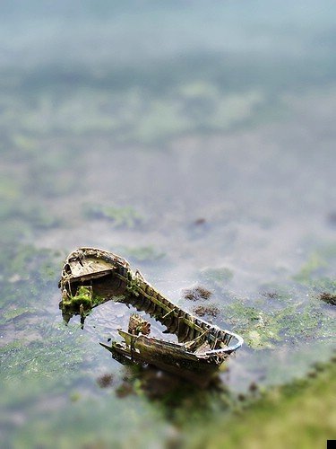 amazing-tilt-shift-51