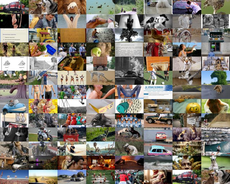 fotoprikol-110909-01