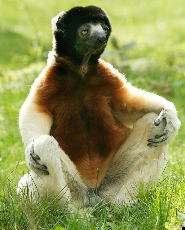 fotoprikol-110909-101