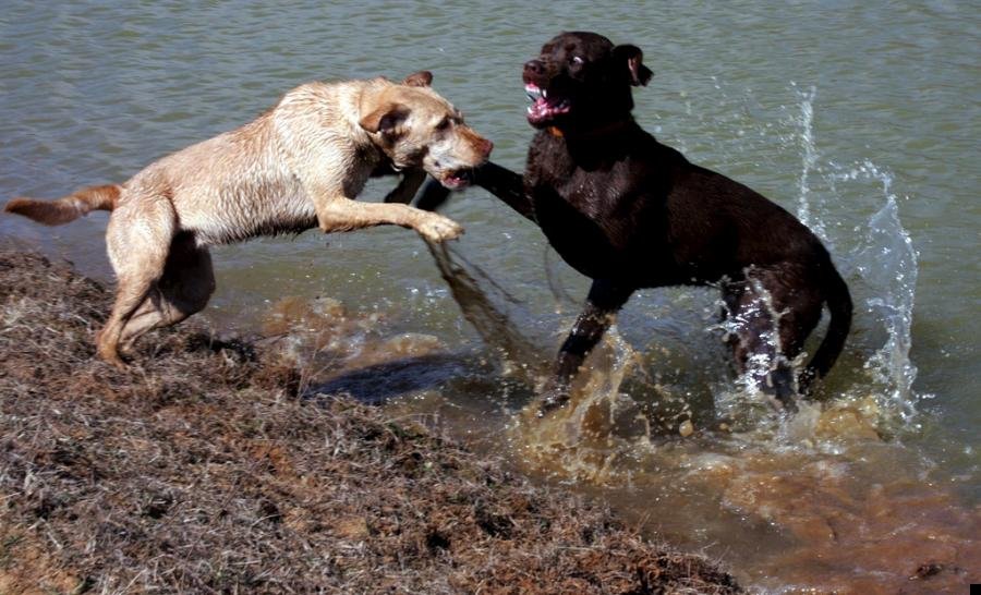 fotoprikol-110909-103