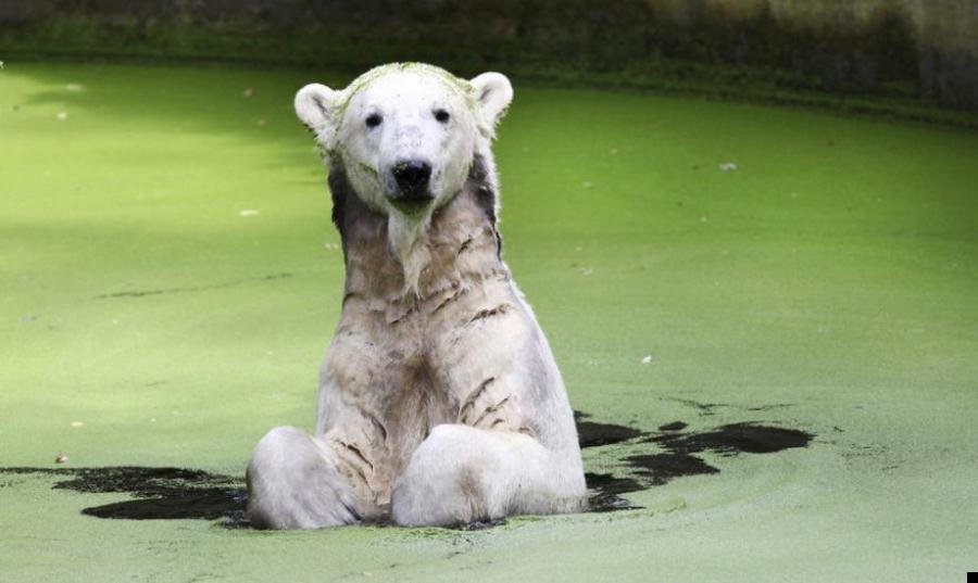 fotoprikol-110909-13