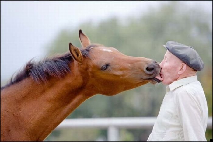 fotoprikol-110909-19