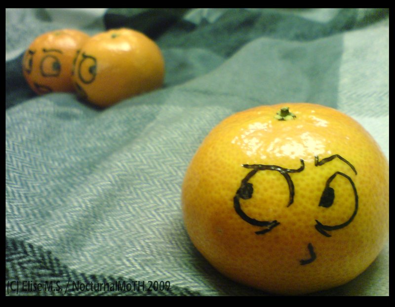 fotoprikol-110909-29