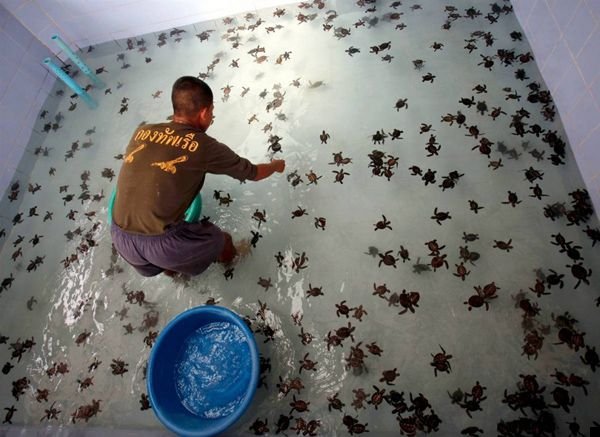 fotoprikol-110909-51