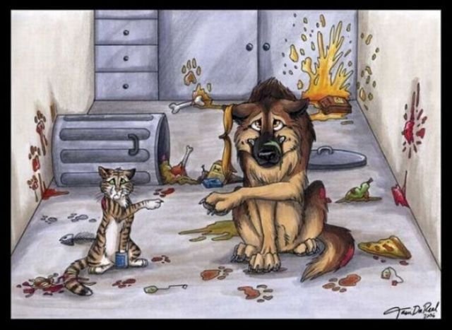 fotoprikol-110909-57