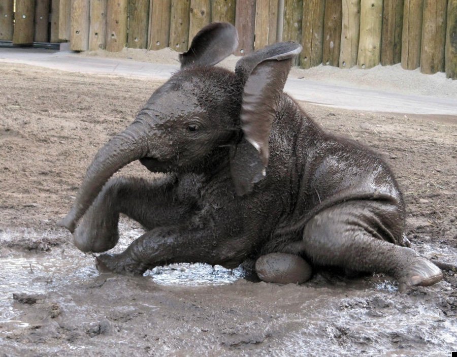 fotoprikol-110909-66