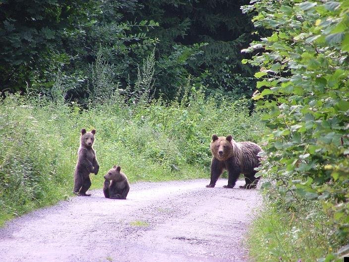 fotoprikol-110909-80