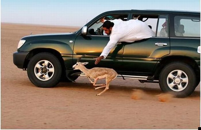 fotoprikol-110909-84